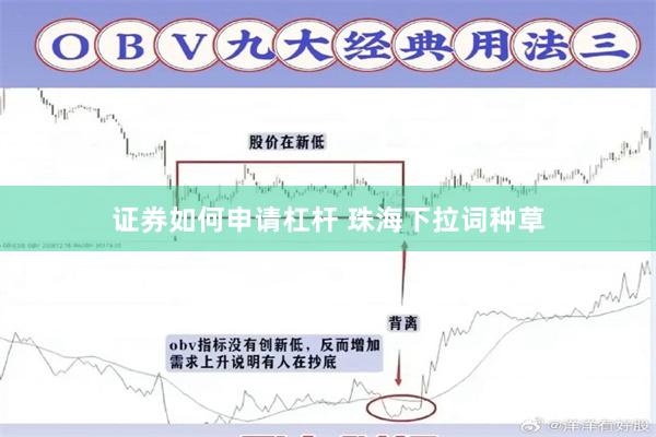 证券如何申请杠杆 珠海下拉词种草