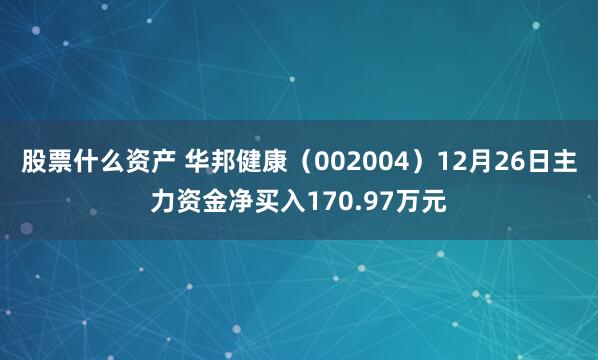 股票什么资产 华邦健康（002004）12月26日主力资金净买入170.97万元