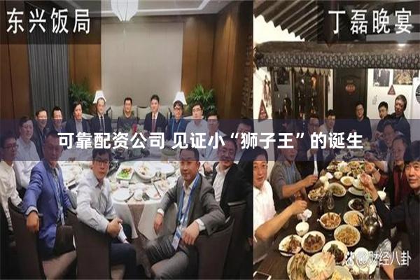 可靠配资公司 见证小“狮子王”的诞生