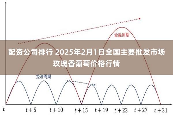 配资公司排行 2025年2月1日全国主要批发市场玫瑰香葡萄价格行情